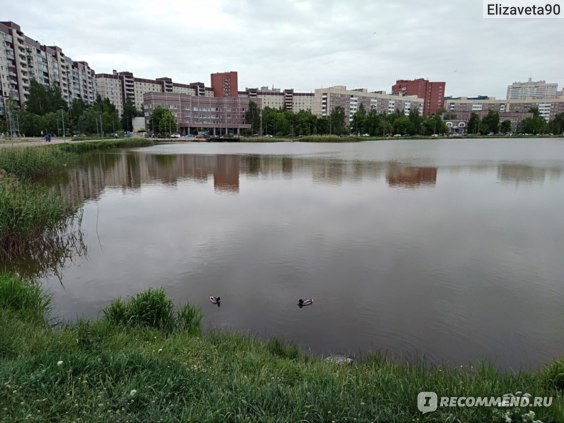 Парк "Озеро Долгое", Санкт-Петербург фото