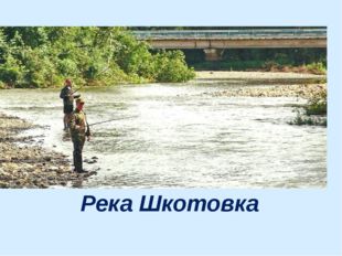 Река Шкотовка 