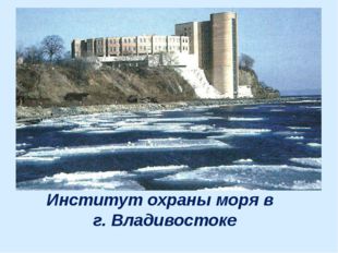Институт охраны моря в г. Владивостоке 