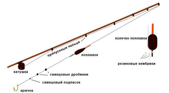 Время клева