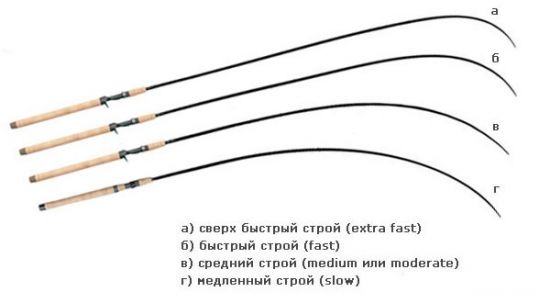 Строй