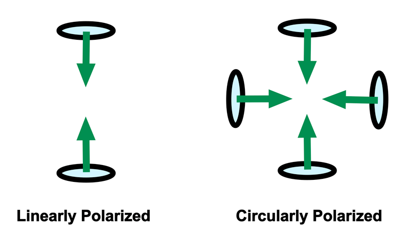 Linearly vs circularly polarized RF coils