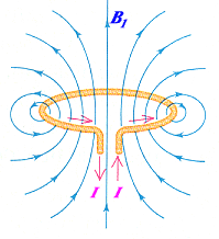 MRI RF loop coil