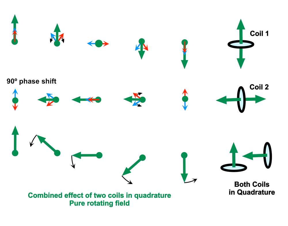 quadrature RF coils