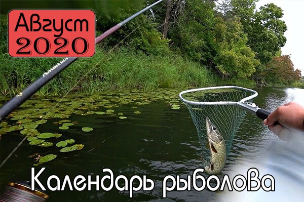 АВГУСТ Календарь рыболова