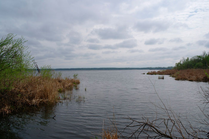 Рыбалка на Муромском озере