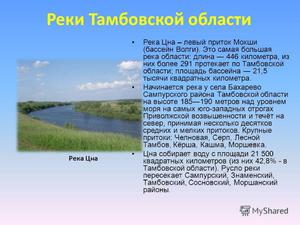 Реки Тамбовской области - река Цна 