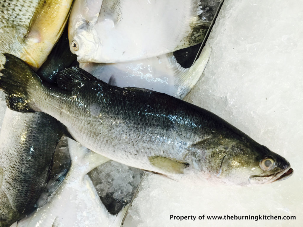 Foodie Local Fish Guide - Seabass