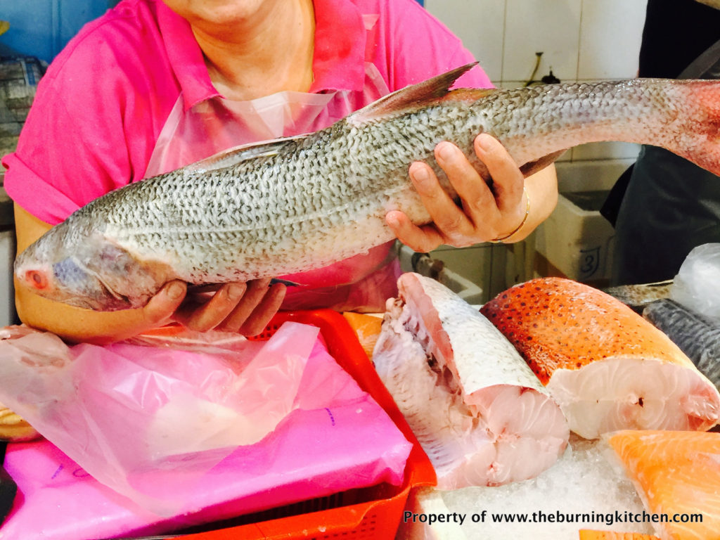 Foodie Local Fish Guide - Threadfin_Ngor_Her